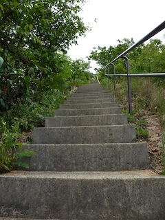052008.jpg