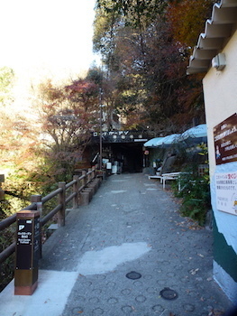 rockgarden121620.01.JPG