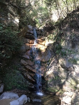rockgarden121620.02.JPG