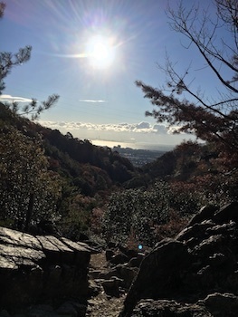 rockgarden121620.04.JPG