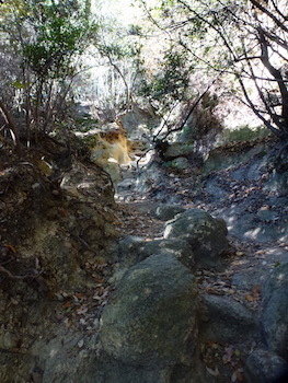 rockgarden121620.05.JPG