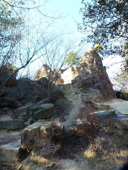 rockgarden121620.06.JPG