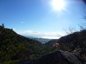 rockgarden121620.08.JPG